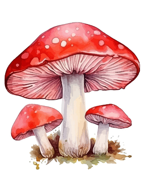 Red Mushrooms Dictionary Art Print