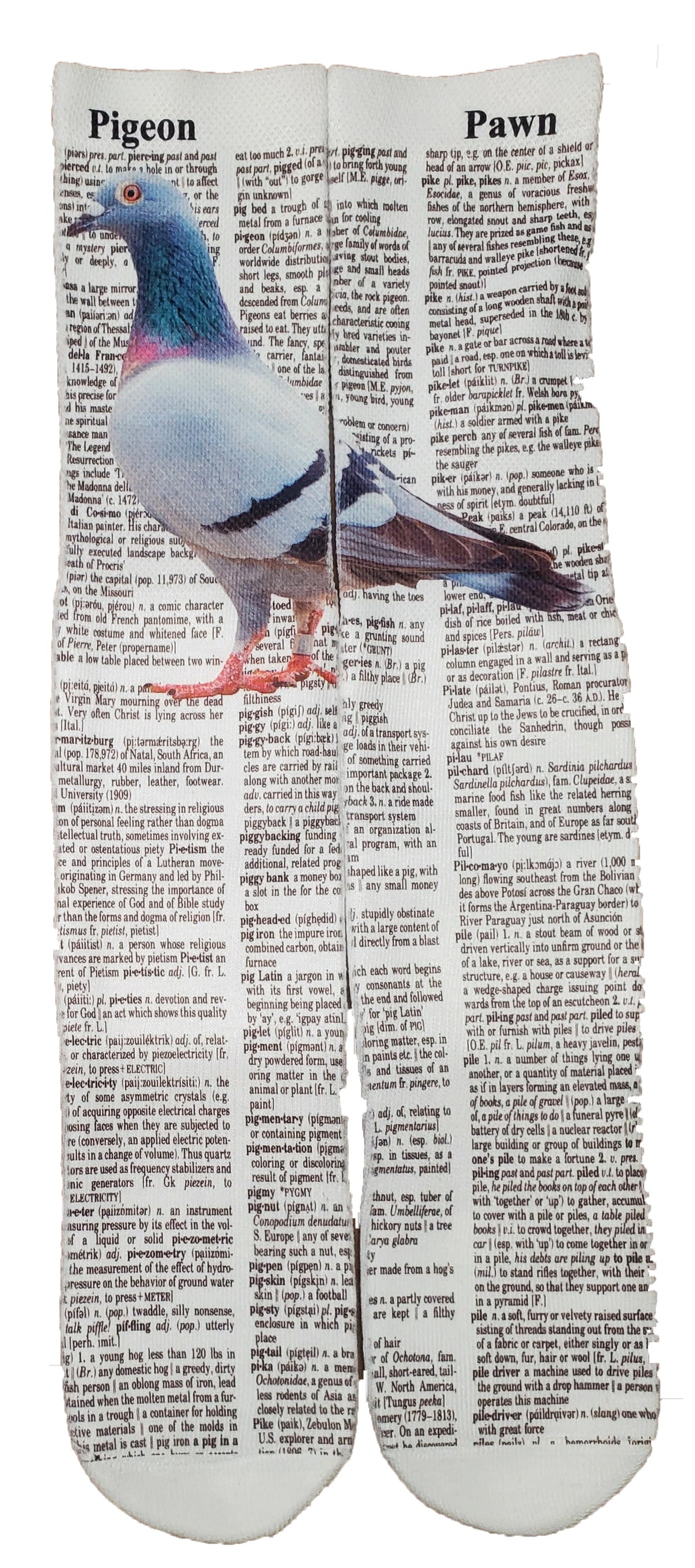 Pigeon Pawn Unisex Dictionary Art Socks