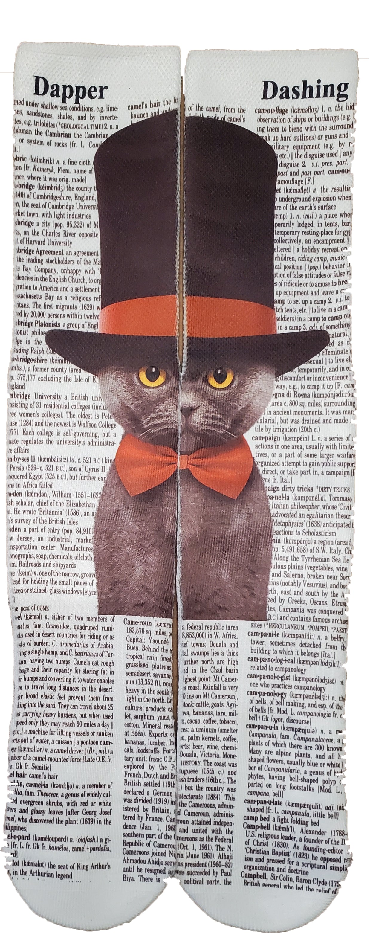Dapper Dashing Top Hat Cat Unisex Dictionary Art Socks