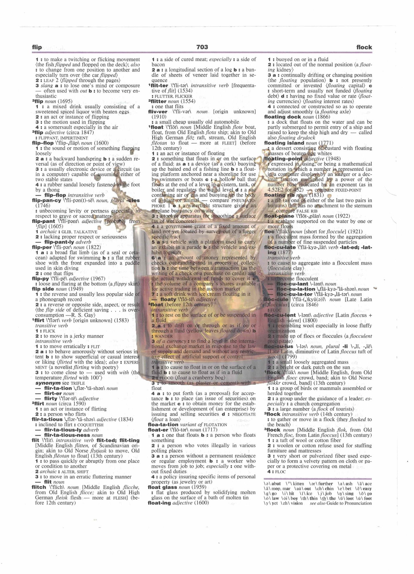 Whiskey Splash Rocks Dictionary Art Print