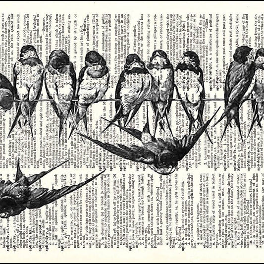 Birds On A Wire Dictionary Art Print