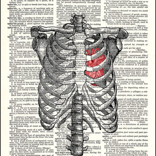 Ribs and Heart Dictionary Art Print