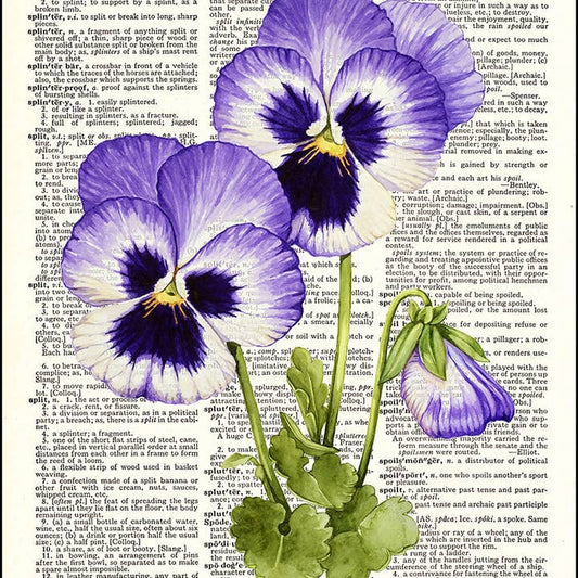 Pansies Flower Watercolor Dictionary Art Print