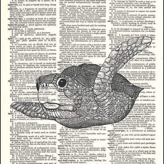 Baby Sea Turtle Dictionary Art Print