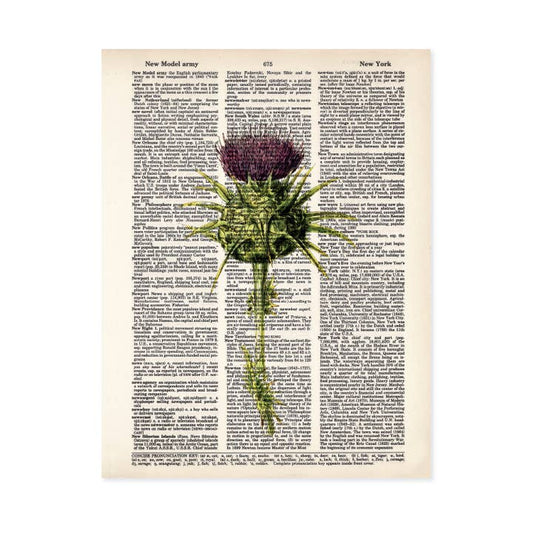 Thistle Purple Flower Weed Dictionary Art Print