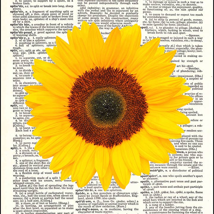 Sunflower Dictionary Art Print