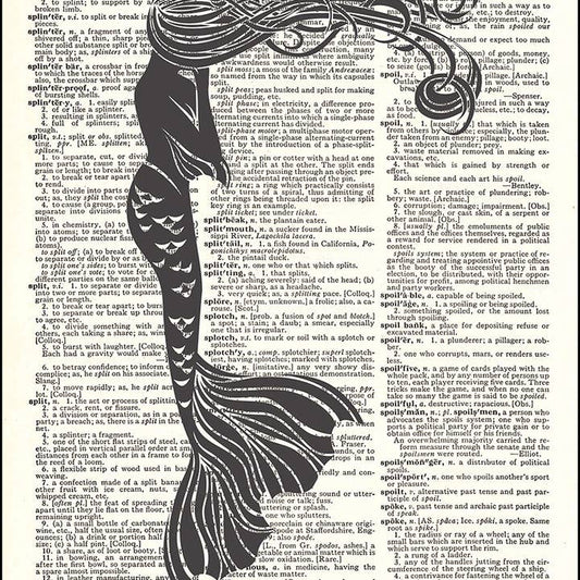 Mysterious Mermaid Dictionary Art Print
